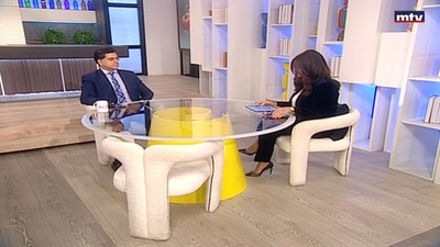 Dr. Paul Mark - The budget and banking laws proposed in Lebanon