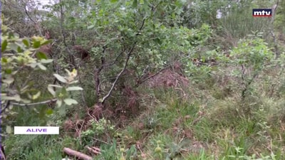 A trip to the nature