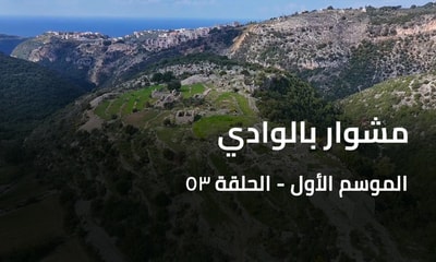 مشوار بالوادي - حبالين