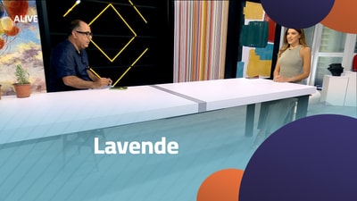 Lavende