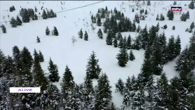 25 Feb 2021 - A Trip To Arz 