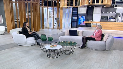Anne Desmore - Activities of the Swedish Embassy in Lebanon