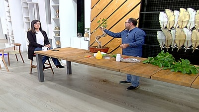 Viewers questions