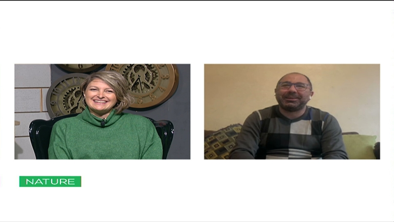 مضادات الفيروس