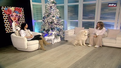 Natasha Chaker - The Dog Breed Samoyed